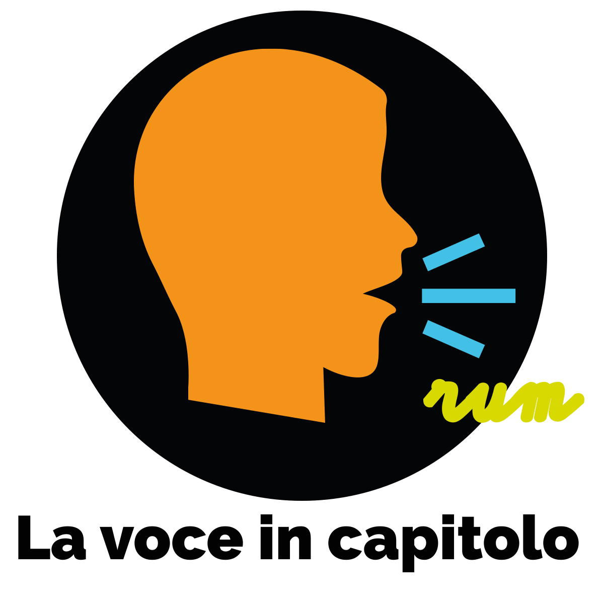 La voce in capitolo