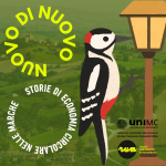 Nuovo di Nuovo